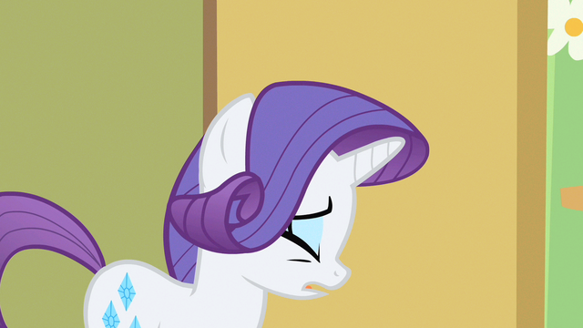File:Rarity oh Fluttershy S1E20.png