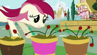 Rose Flower Pots S01E04.png