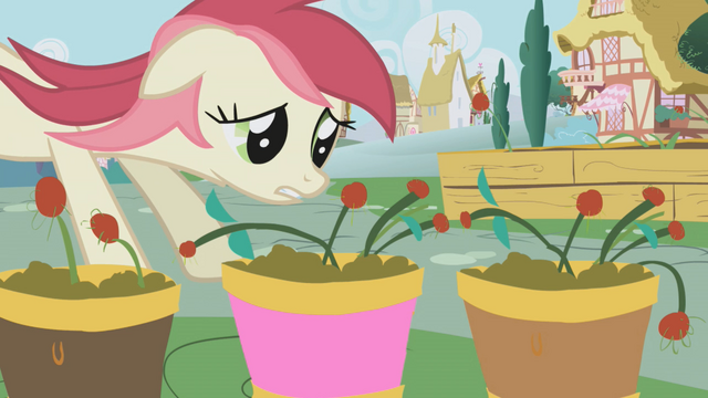 File:Rose Flower Pots S01E04.png