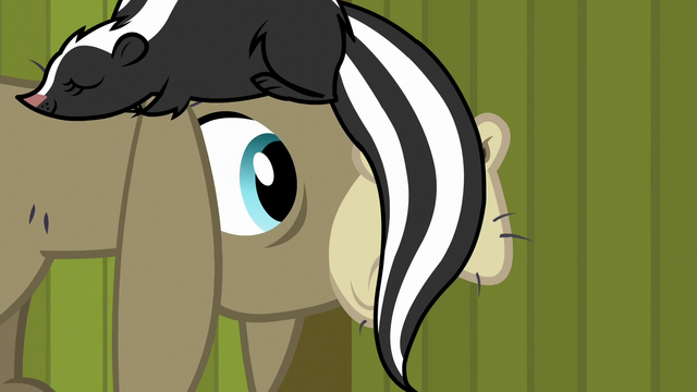 File:Cranky Doodle realizes he's wearing a skunk S6E15.png