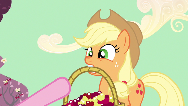File:Applejack say it S2E14.png