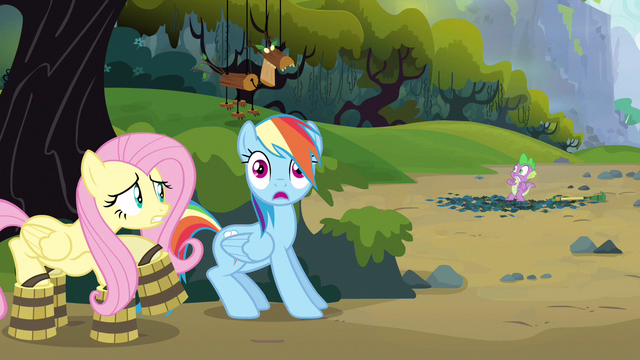 File:Rainbow Dash almost forgot! S3E9.png