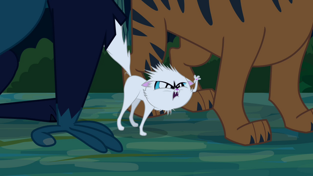 File:White kitten growling S4E04.png