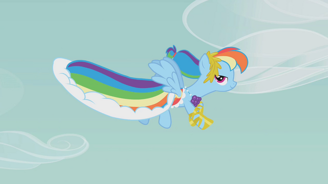 File:Rainbow Dash's dress S1E14.png