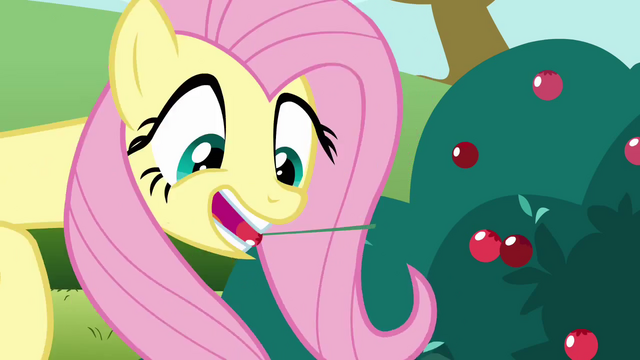 File:Fluttershy berry picking S3E3.png