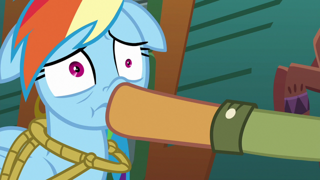 File:Quibble plugs Rainbow's mouth again S6E13.png