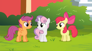S04E15 Sweetie Belle tłumaczy fenomen.png