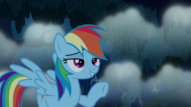 File:Rainbow Dash "you're scared of everything" S6E15.png
