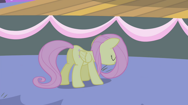 File:Fluttershy stops running S4E14.png