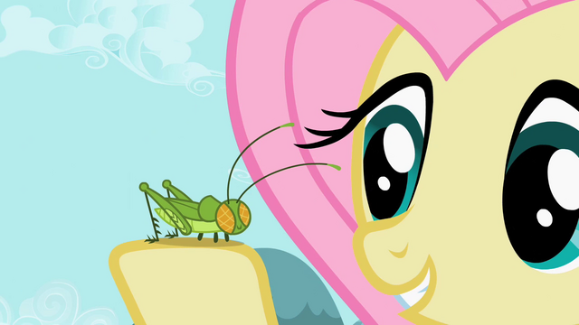 File:Fluttershy with cricket S2E07.png