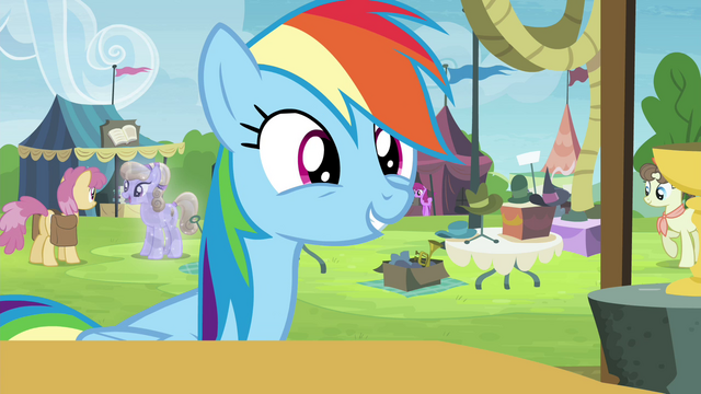 File:Rainbow Dash excited S4E22.png