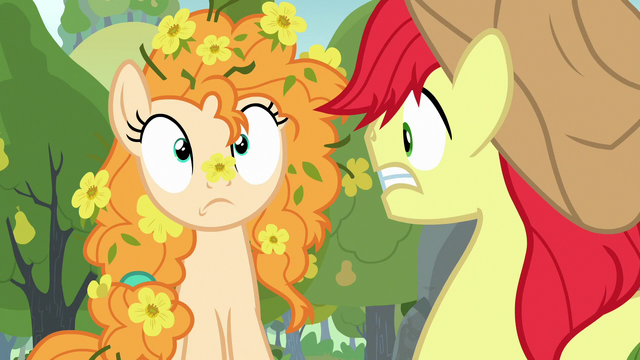 File:Pear Butter covered in buttercups S7E13.png