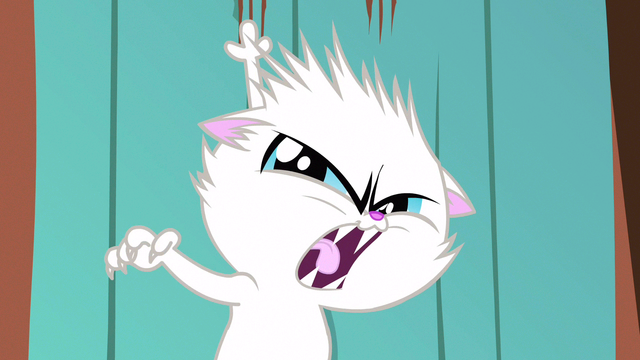 File:Hissing kitten S3E13.png