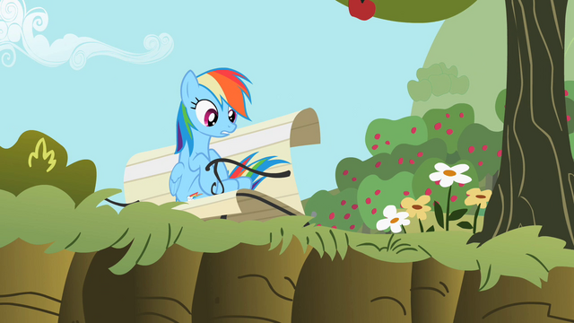 File:Rainbow Dash 'Right, Applejack?' S2E3.png