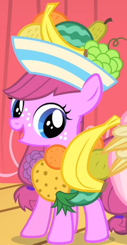 File:Fruitbasket ID S1E23.png