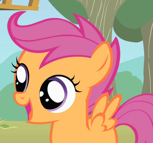 File:Scootaloo outside ID S1E18.png