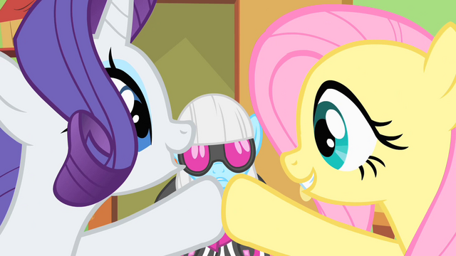 File:Rarity and Fluttershy high-hoof S1E20.png