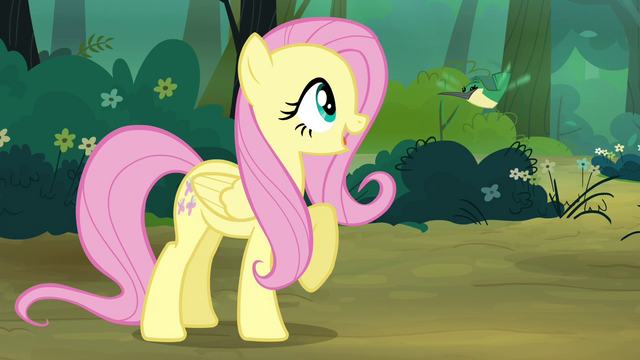 File:Fluttershy greets Hummingway S4E18.png