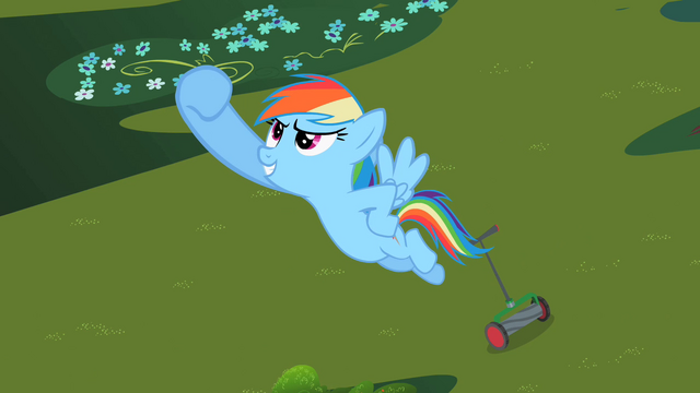 File:Rainbow Dash's Victory S2E8.png