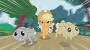 Applejack chasing after two bunnies S1E04.png