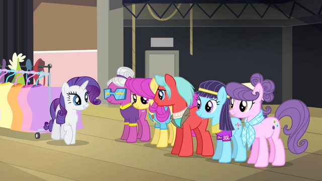 File:Rarity greeting other ponies S4E08.png