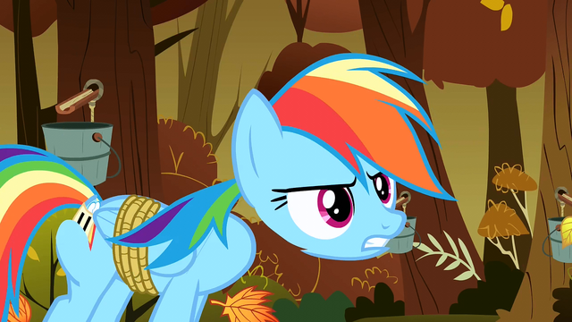 File:Rainbow Dash's detached head S1E13.png
