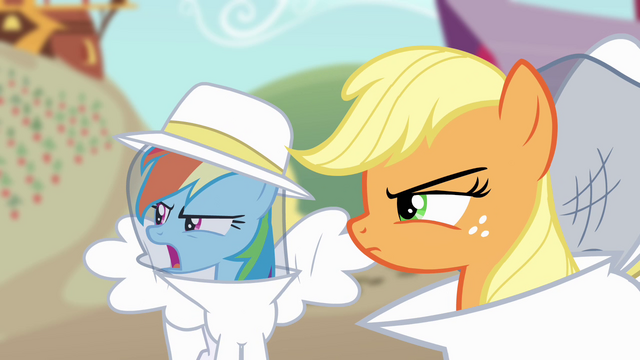 File:Rainbow Dash and Applejack unsatisfied S4E03.png