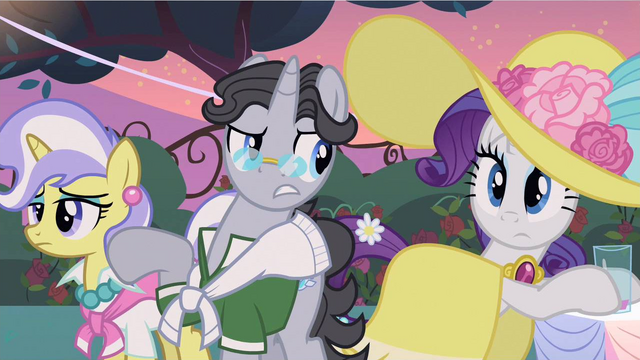 File:Rarity wearing what S2E9.png