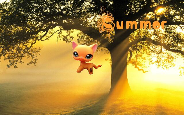 File:Summer.jpg