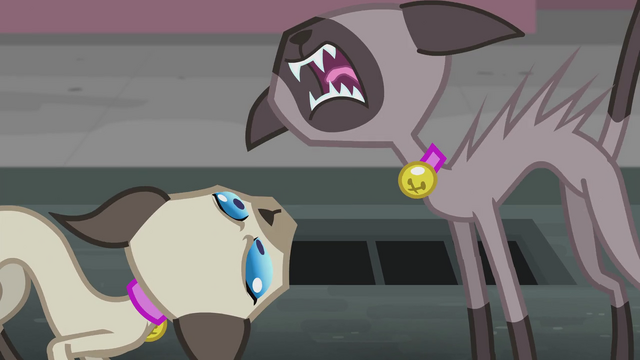 File:Cats yowling at each other EG2.png
