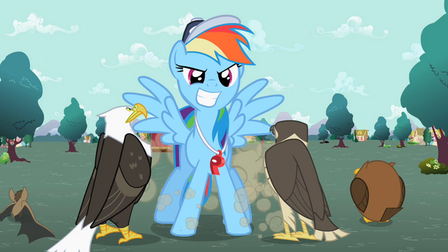 File:Rainbow Dash in front of the flyers S2E07.png