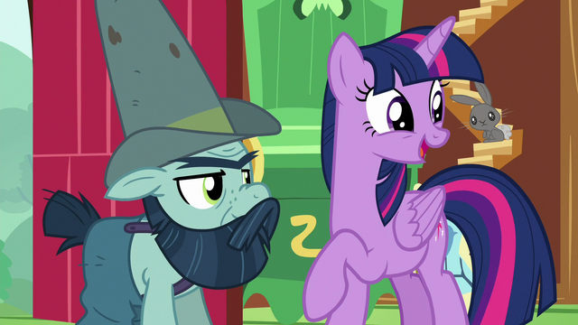 File:Twilight Sparkle "we met each other back when" S7E5.png