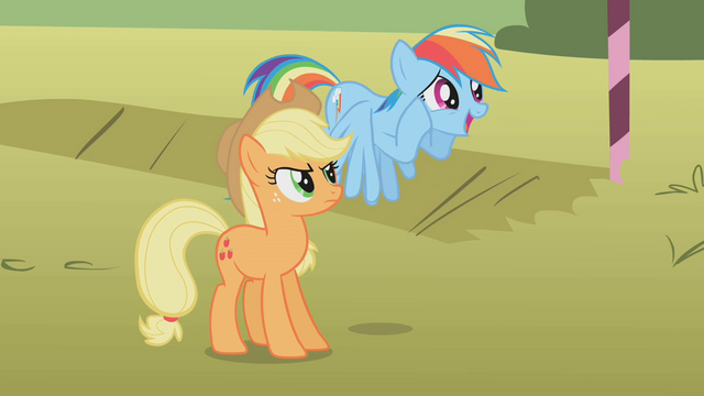 File:Applejack looking at an excited Rainbow Dash S01E13.png