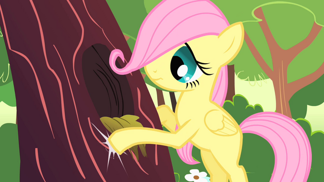 File:Fluttershy filly knocking on tree trunk S01E23.png