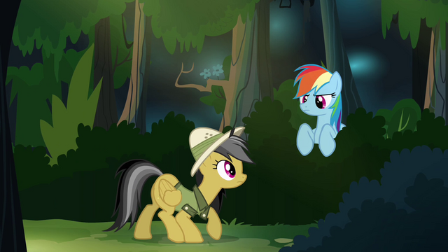 File:Daring and Rainbow in the forest S4E04.png