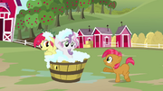 Babs 'You pushed me out just when the float' S3E04.png