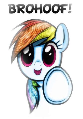 File:FANMADE BROHOOF DASH.jpg