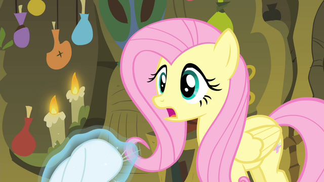 File:Fluttershy accepts S4E14.png