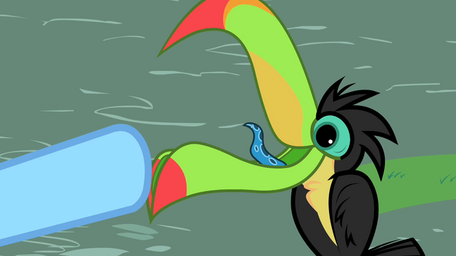 File:Toucan squawking S2E07.png