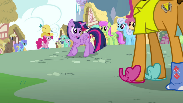 File:Twilight 'All right, everypony' S4E12.png