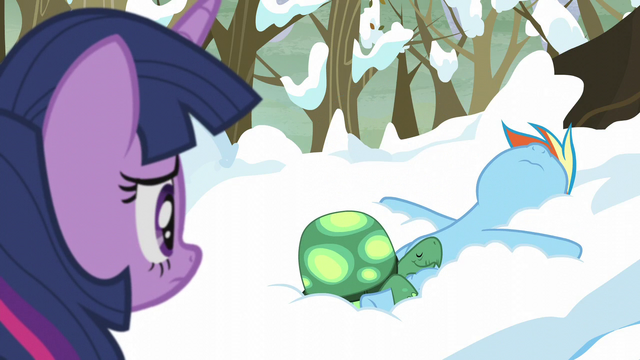 File:Rainbow lies down S5E5.png