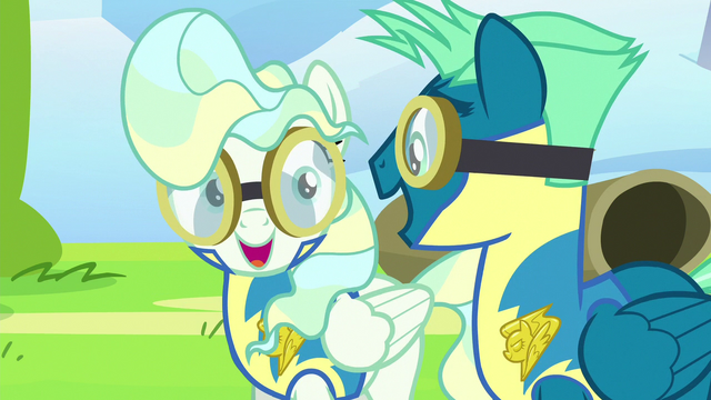 File:Sky Stinger and Vapor Trail overjoyed S6E24.png