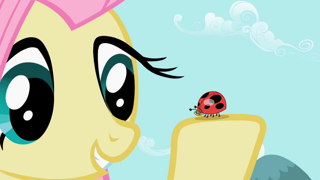File:Fluttershy with ladybug S2E07.png