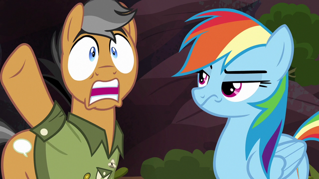 File:Quibble "what are these ponies thinking?!" S6E13.png