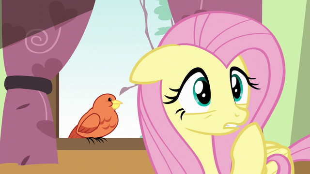 File:Fluttershy looking concerned S6E11.png
