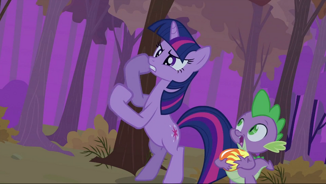 File:Twilight fist S2E21.png