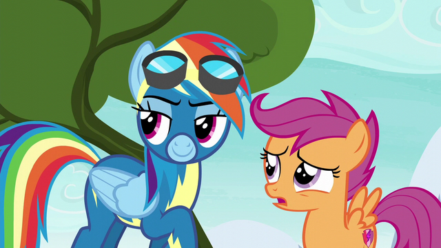File:Scootaloo "what are we doing up here" S6E7.png