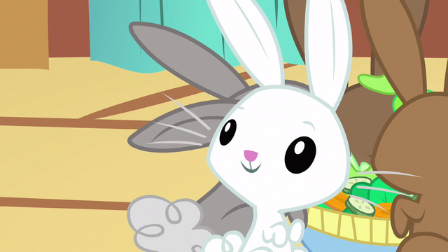 File:Angel recongnizes Fluttershy S3E13.png