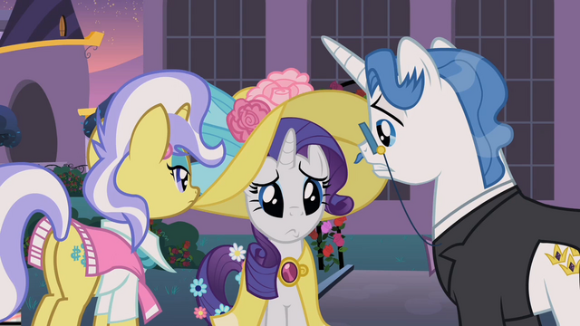 File:Rarity puppy eyes S2E9.png