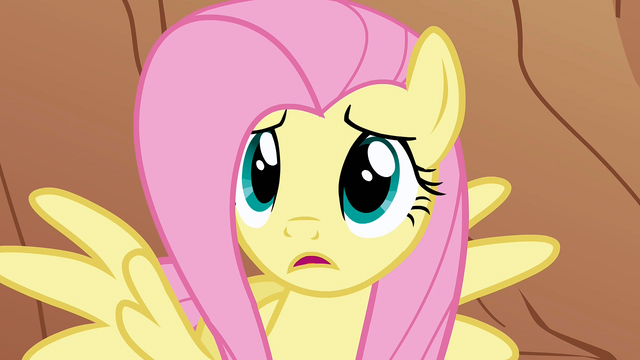 File:Fluttershy "But why?" S1E21.png